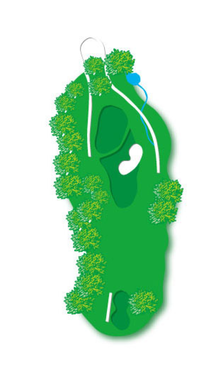 Hole 4 course map