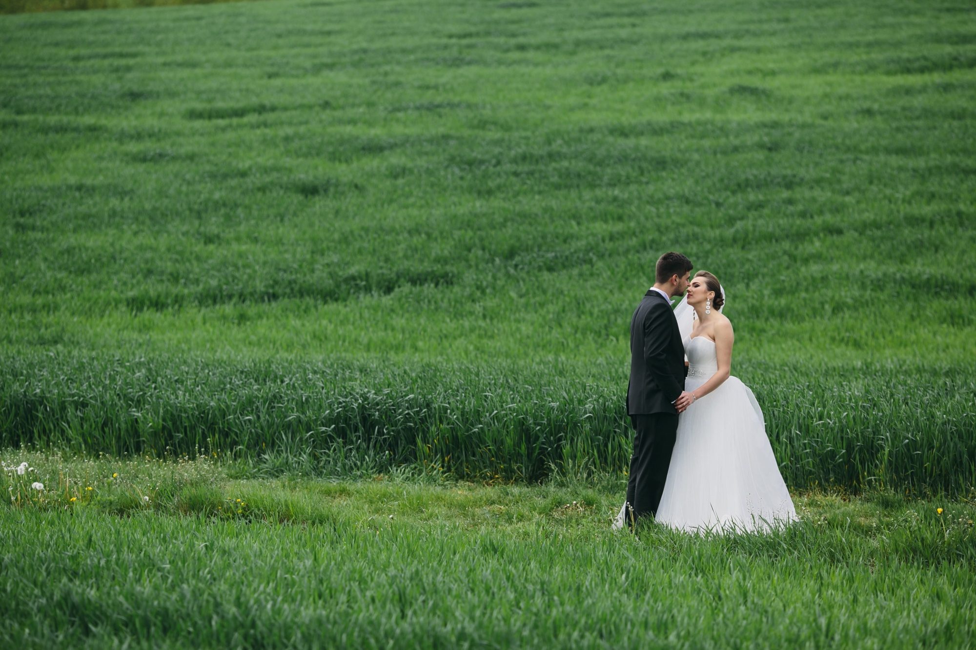 Weddings